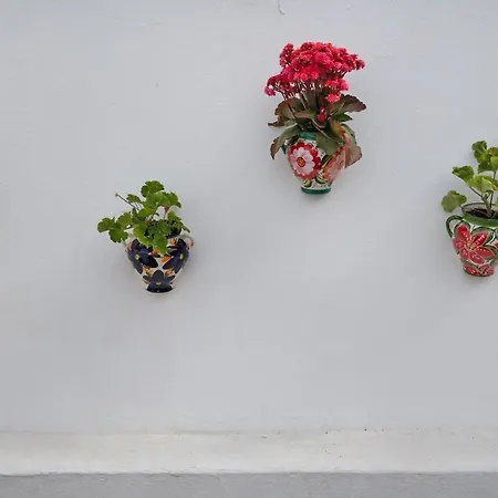 Casa Gofio Appartement *